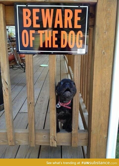 Beware of dog