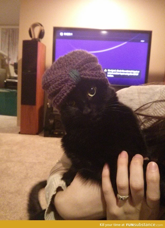 I made a tiny turban for a friend's baby, tried it out on the cat first