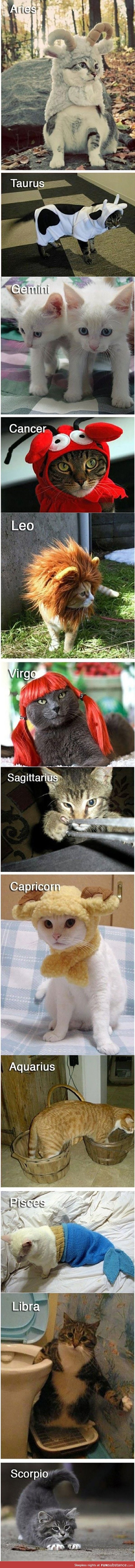 Cats of the Zodiac