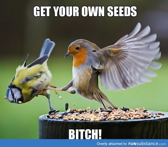 This is Sparta!