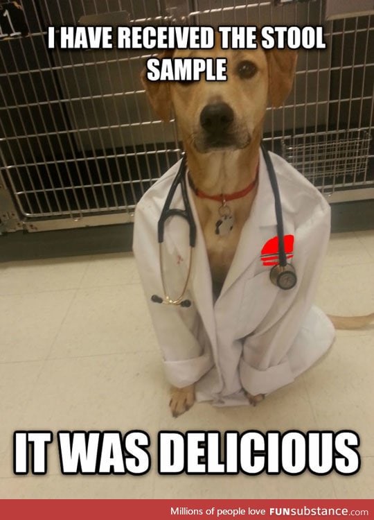 Dogtor, md