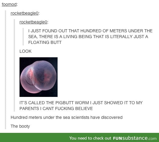 A science lesson from tumblr