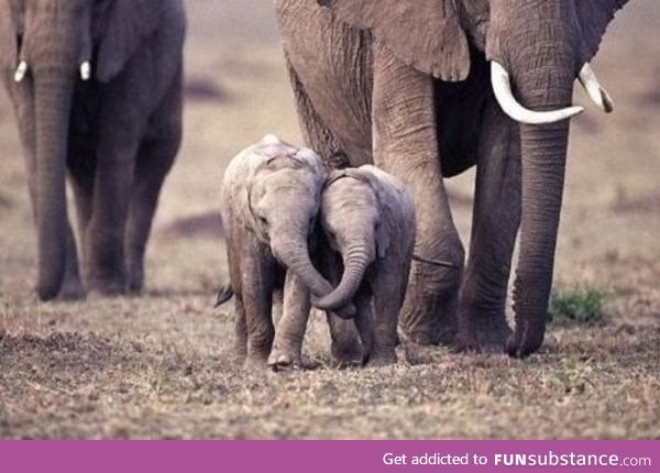 Holding trunks :)