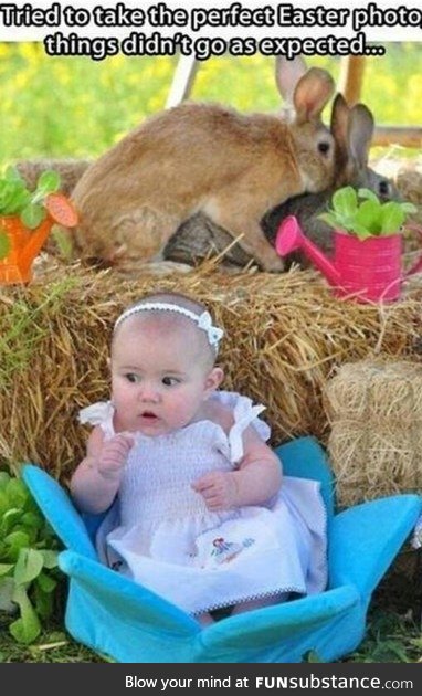 Perfect Easter photo