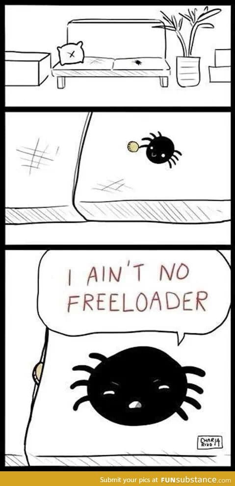 Good guy spider
