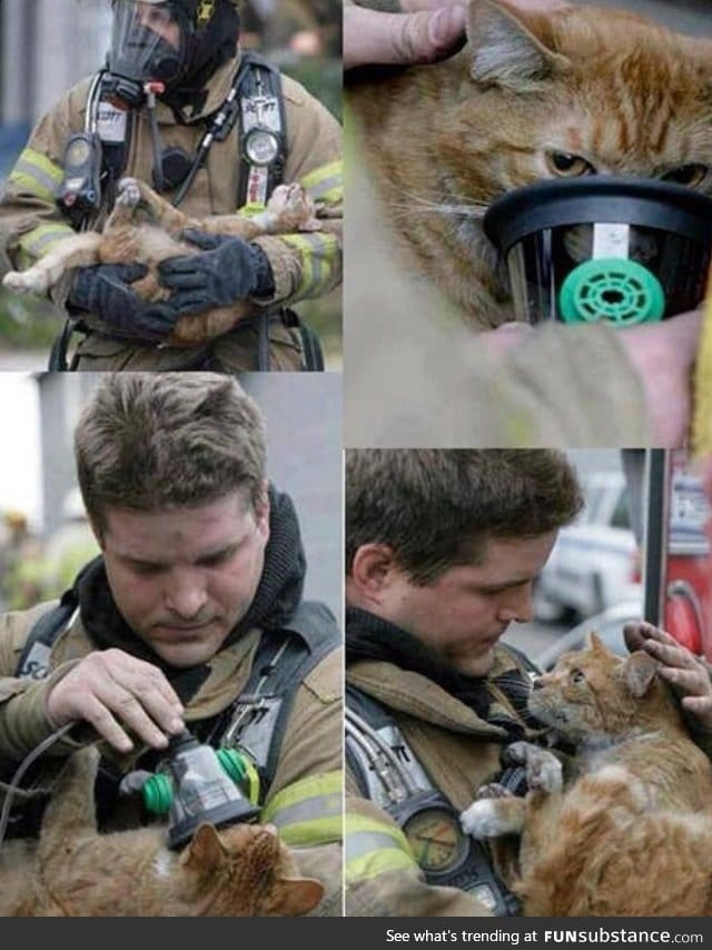 Firefighter saving a cat