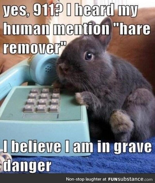 911 bunny call
