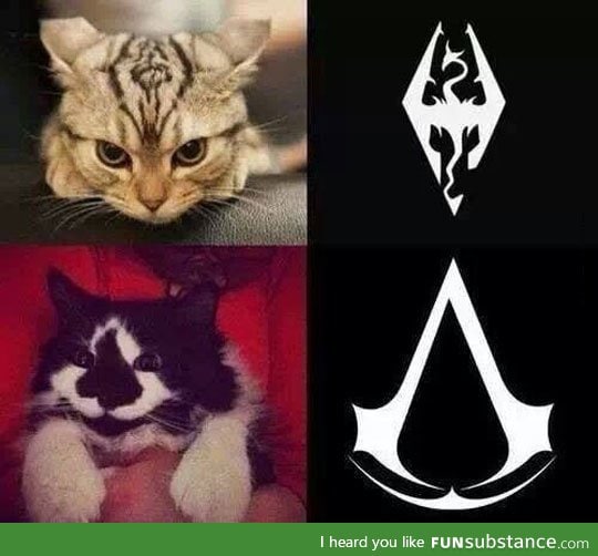 Assassin's cats