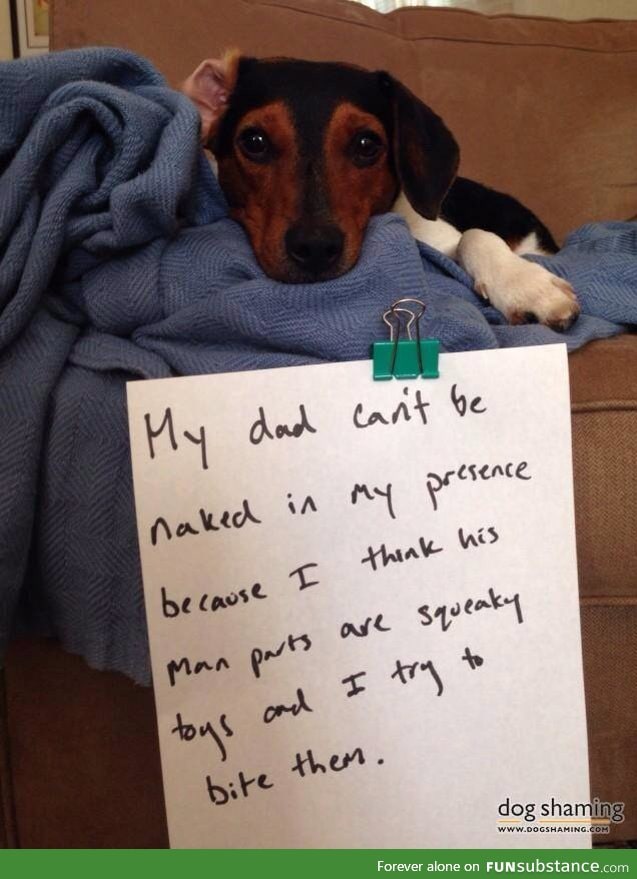 Poor puppy