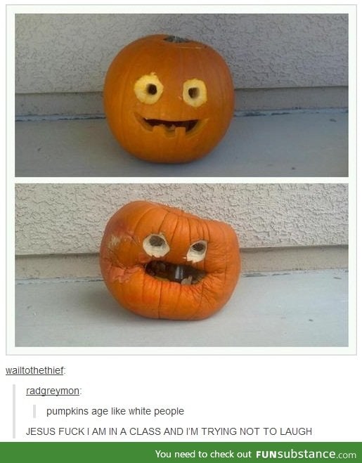 Look at that granny pumpkin.