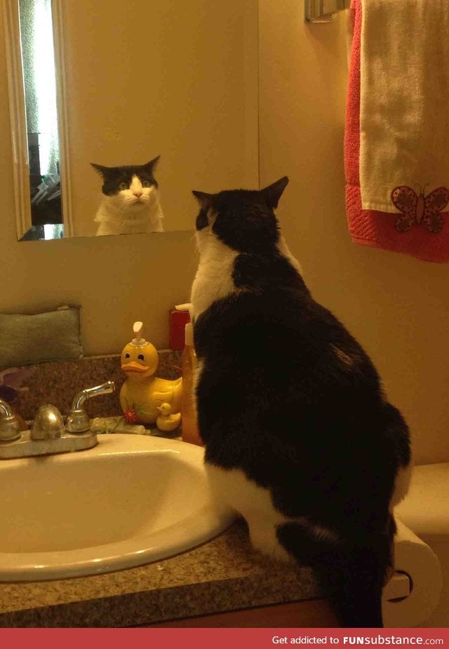 He looked in the mirror and his expression was priceless