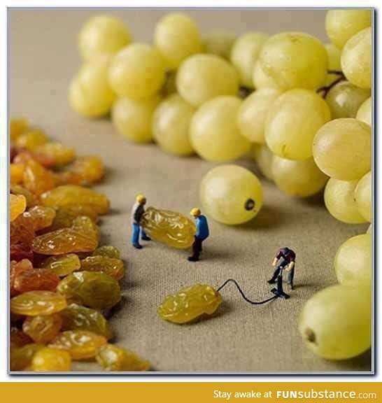 How grapes are created