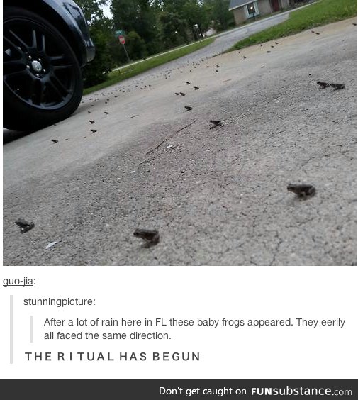 Feeling a bit froggy?