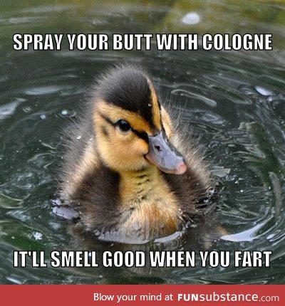 My little cousin dropped this on me today. Introducing Almost Advice Mallard