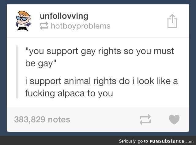 Just because I support gay rights doesn't mean I'm gay