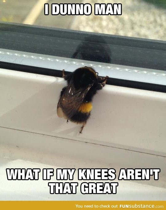 Poor little bee