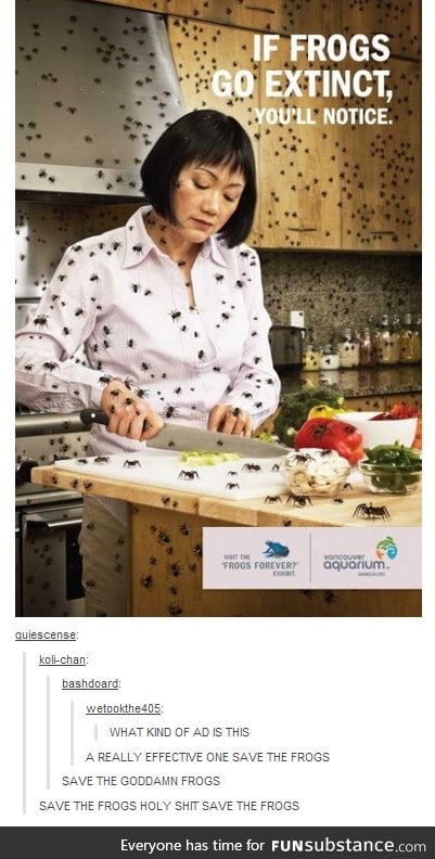 Save the frogs!!