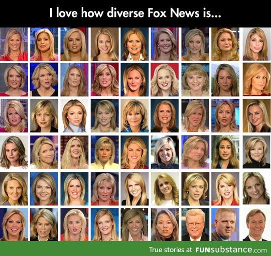 Diversity in Fox News