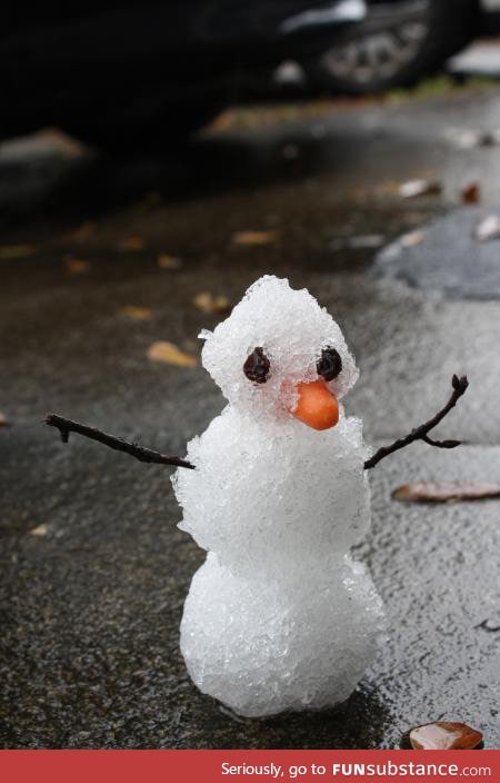 HEADLINE: 1st Snowman created in Florida