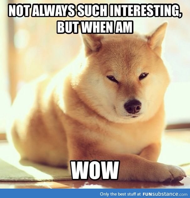 The most interesting shiba in the world