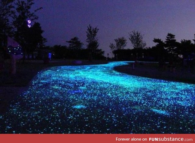 A driveway with glow in the dark plastic pieces mixed in with the cement