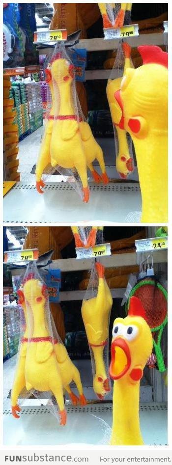 Dramatic chicken in the supermarket