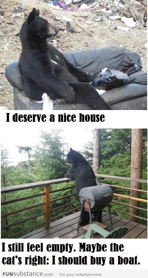 Introspective bears