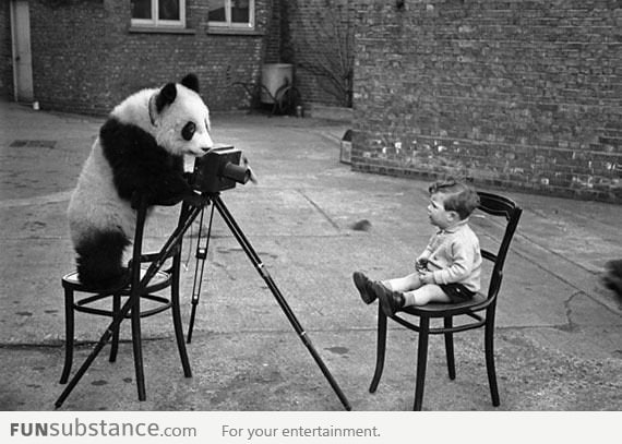 Trust me, I'm a panda