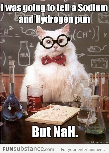 Chemistry Cat tells a sodium and hydrogen pun
