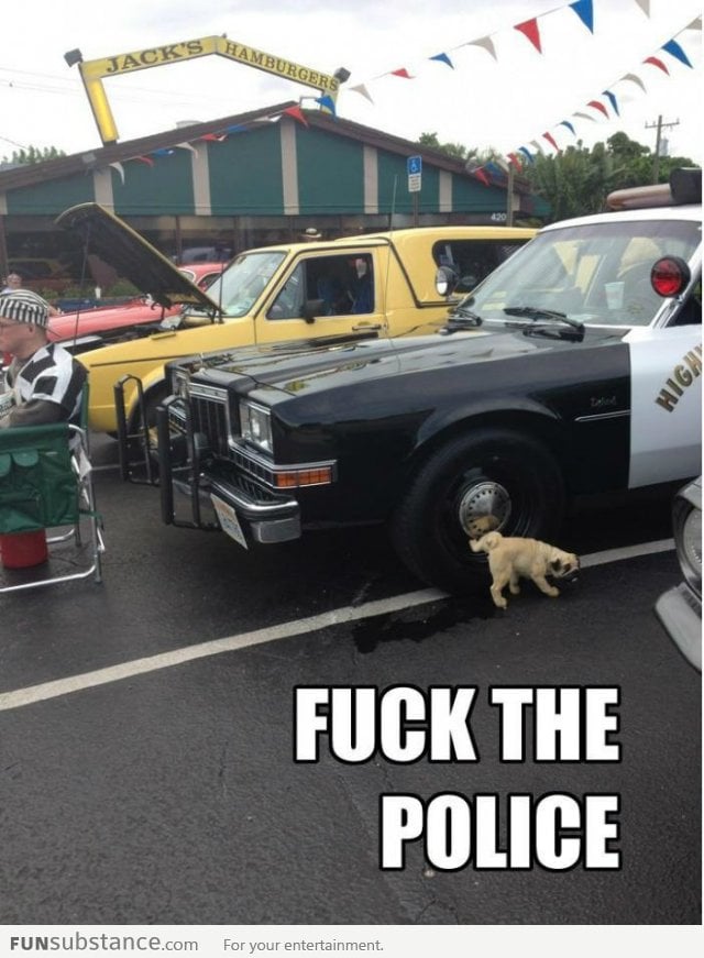 F*ck The Police