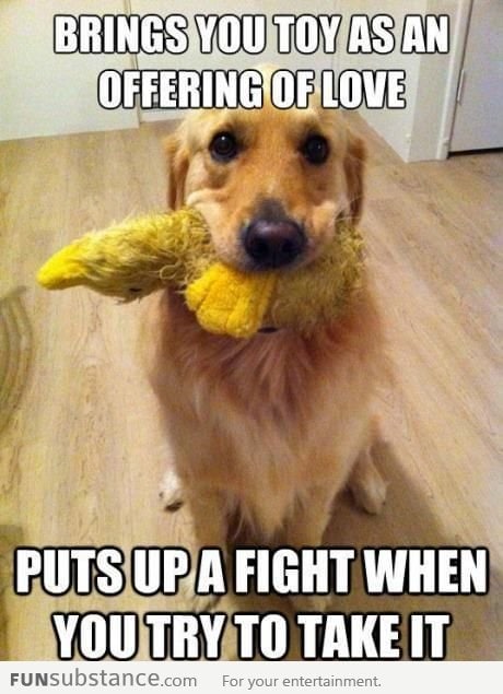 Dogs Logic