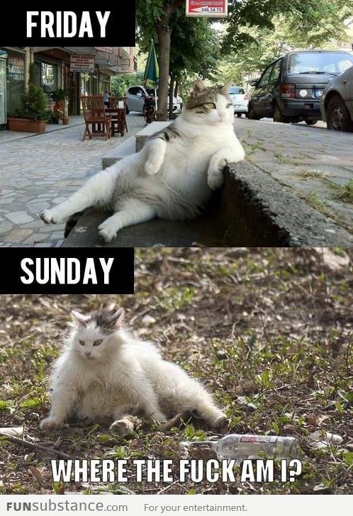 Weekends