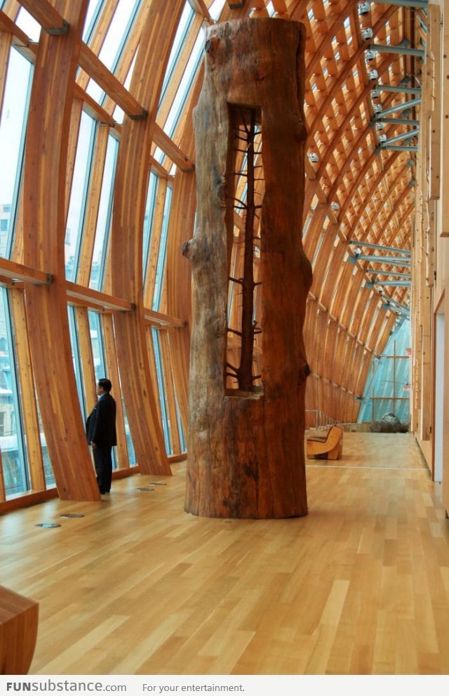 A tree in a tree - A wood art by Giuseppe Penone