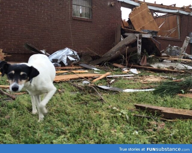 House was destroyed by the tornado, but Chase still made it home afterwards!