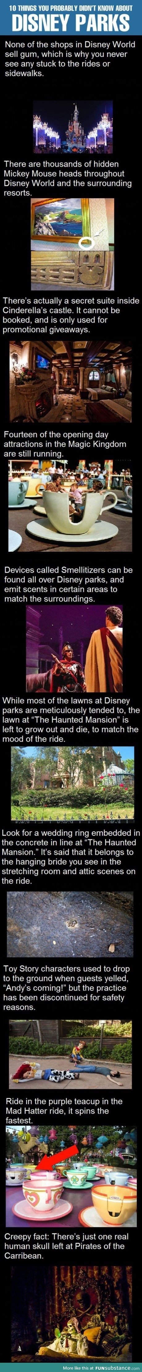 Disney world facts