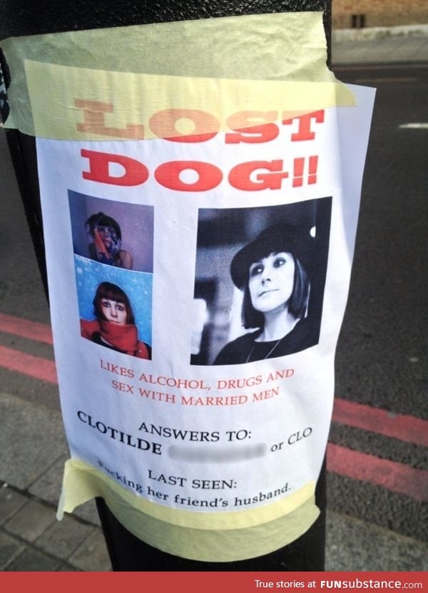 Lost dog!!