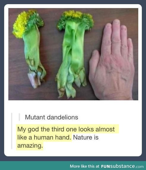 Nature always surprises us