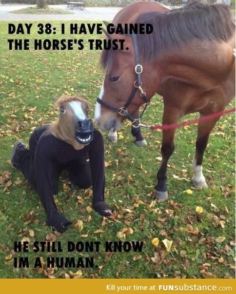 Horse logic