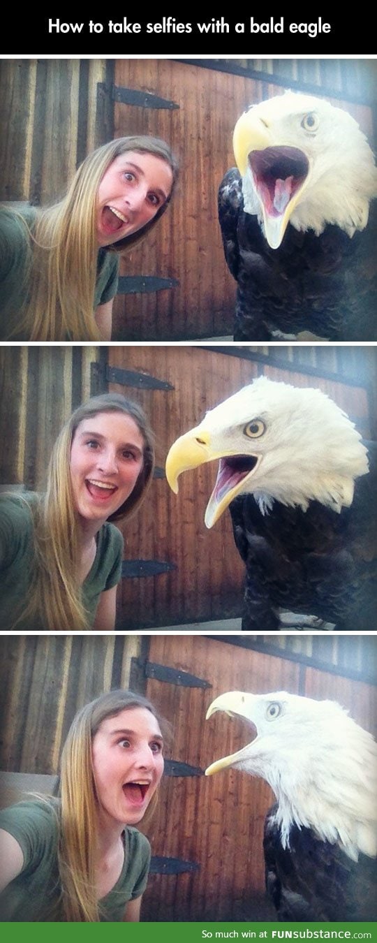 Taking a selfie with an eagle
