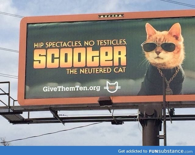 Hey, come up with a good billboard about neutering your pets. "Lol ok"
