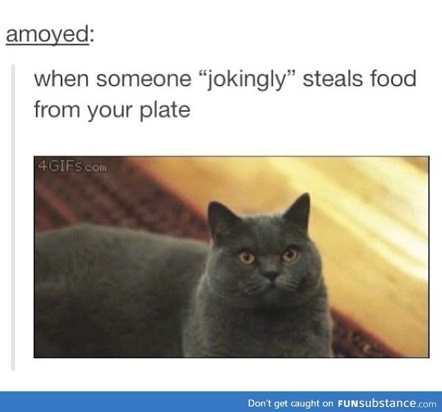 No one steals my food!