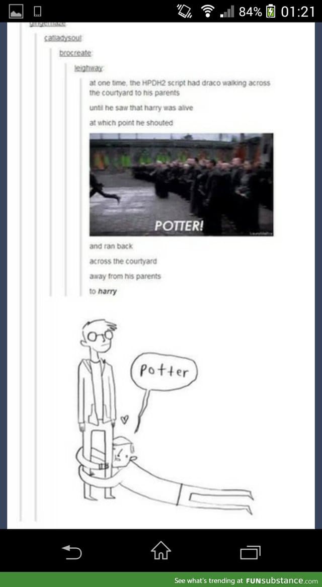 Potter!