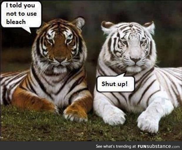 How we got white tigers