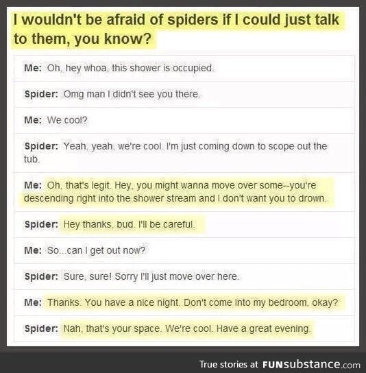 The spider, man