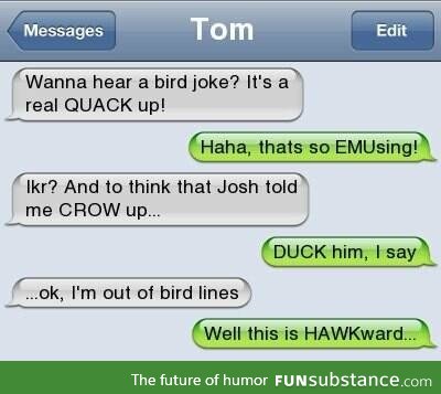 Bird Jokes