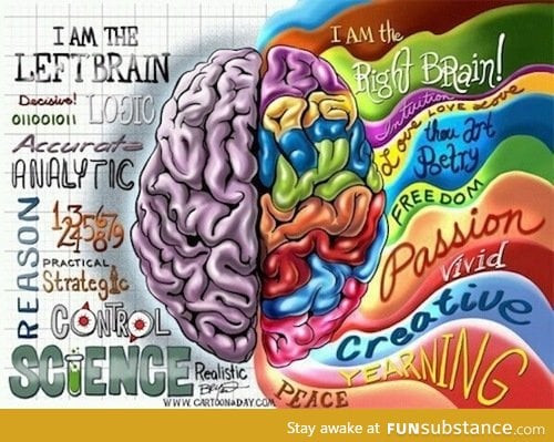 What side of the brain are you?