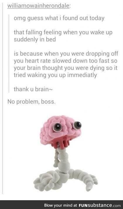Aww, good ole' brain :D