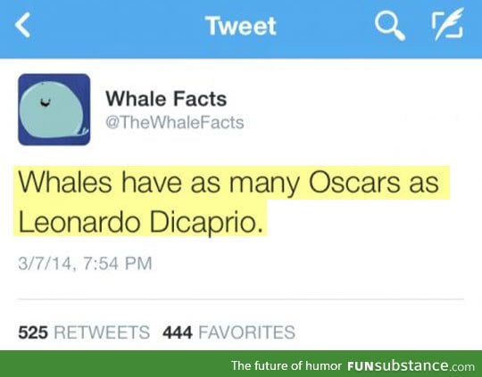 Whale facts