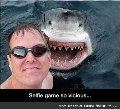 Dangerous selfie