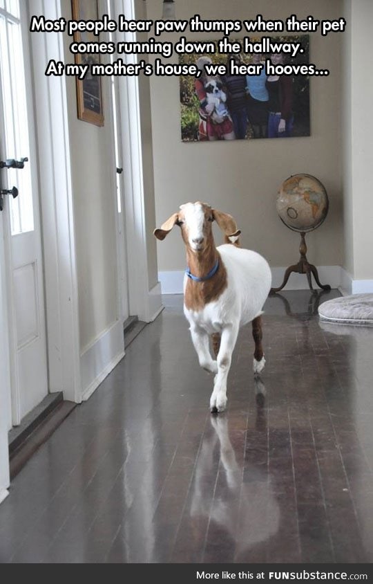 Goat simulator: Home edition